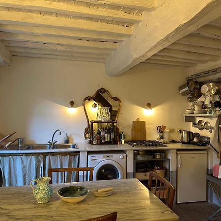 Castello Di Potentino Seggiano Zewnętrze zdjęcie