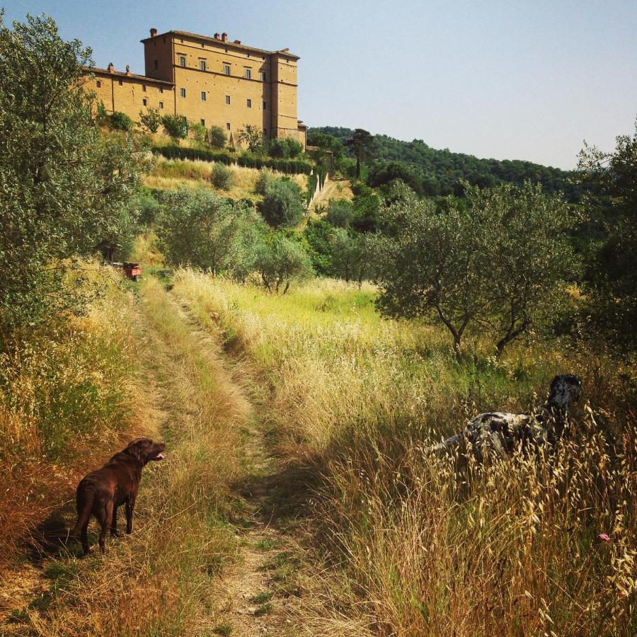 Castello Di Potentino Seggiano Zewnętrze zdjęcie